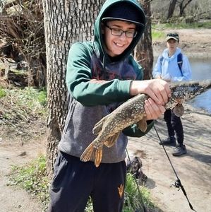 Meet your Posher, Hank